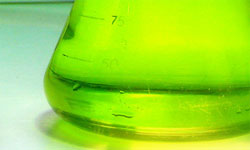 Empleo de ultrasonidos de potencia en el proceso de elaboración del aceite de oliva virgen. Resultados a nivel de planta de laboratorio